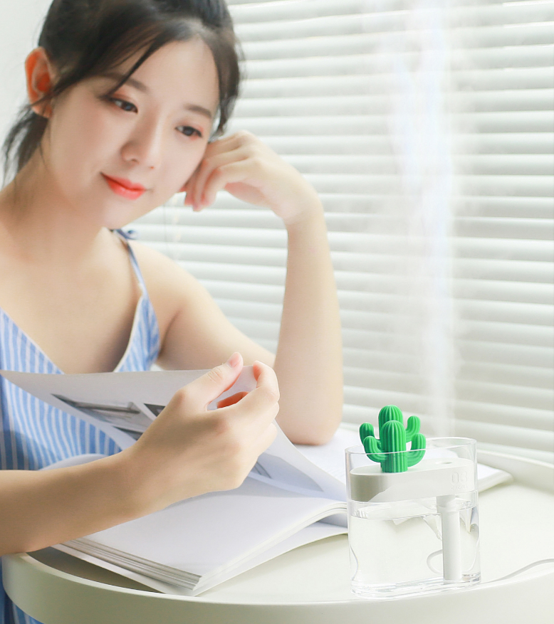 Transparent Cactus Acrylic Humidifier