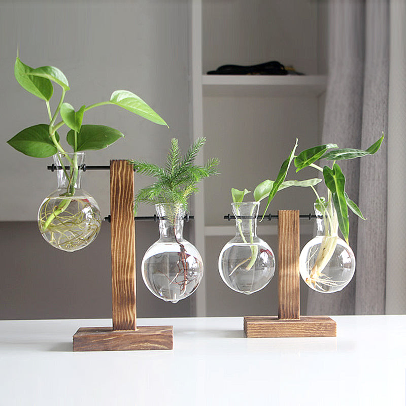 Vintage Glass Hydroponic Terrarium Plant Vase